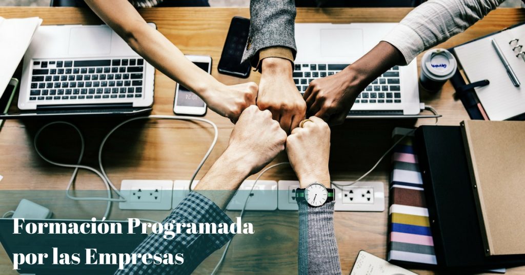 Formación Programada por las Empresas